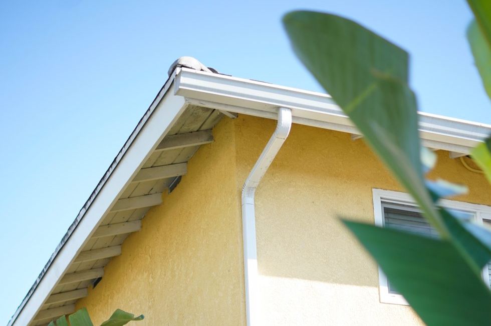 Painting Your Gutters: Why You Need a Professional